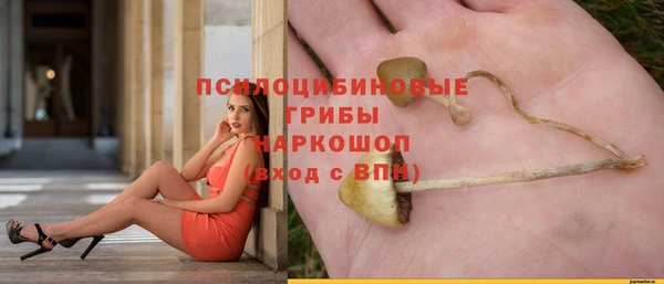 apvp Бугульма